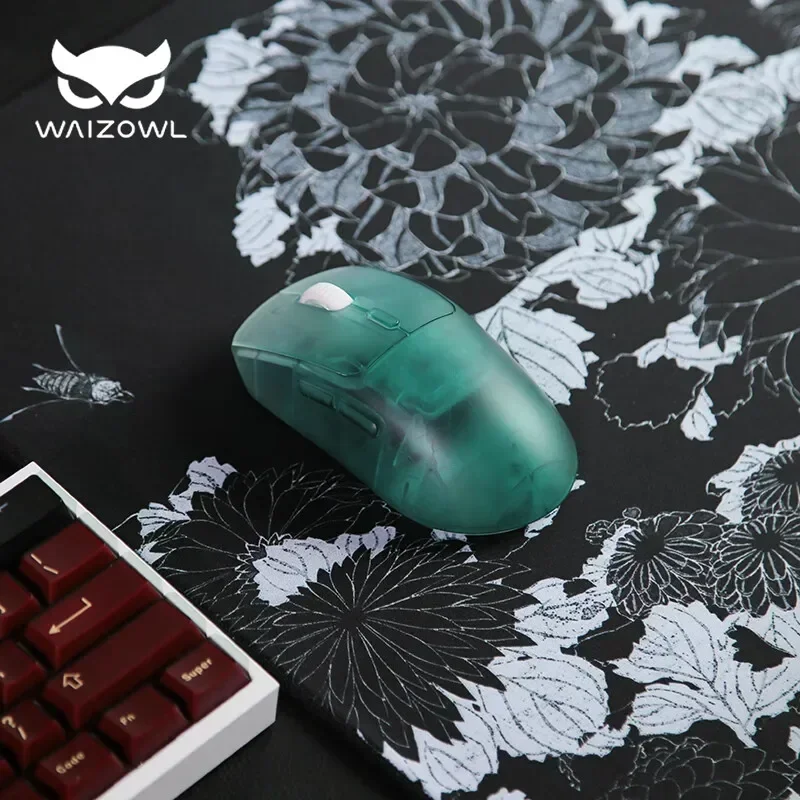 Mouse wireless Waizowl OGM Pro - Gaming Hand Accessories recensione e prezzo